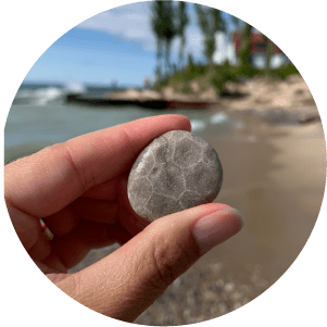 Riverside Petoskey stone